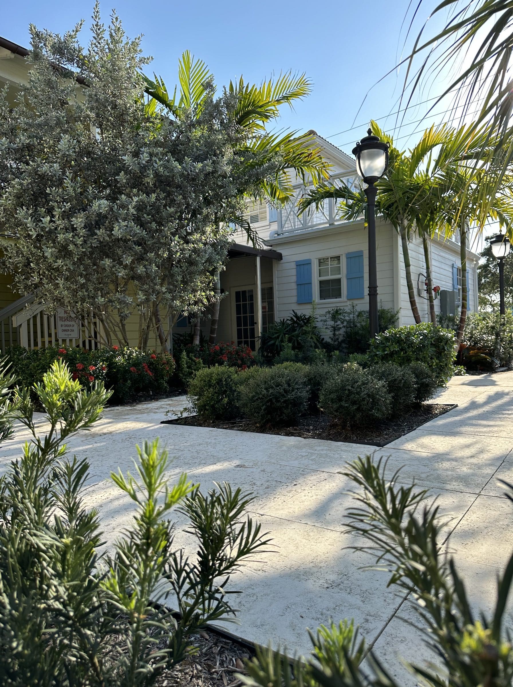 Front-gabled bungalow and a two-story building with pale blue Bahamian shutters seen together across a concrete walk lined with clipped hedges, red-flowering ixora, and newly staked royal palms