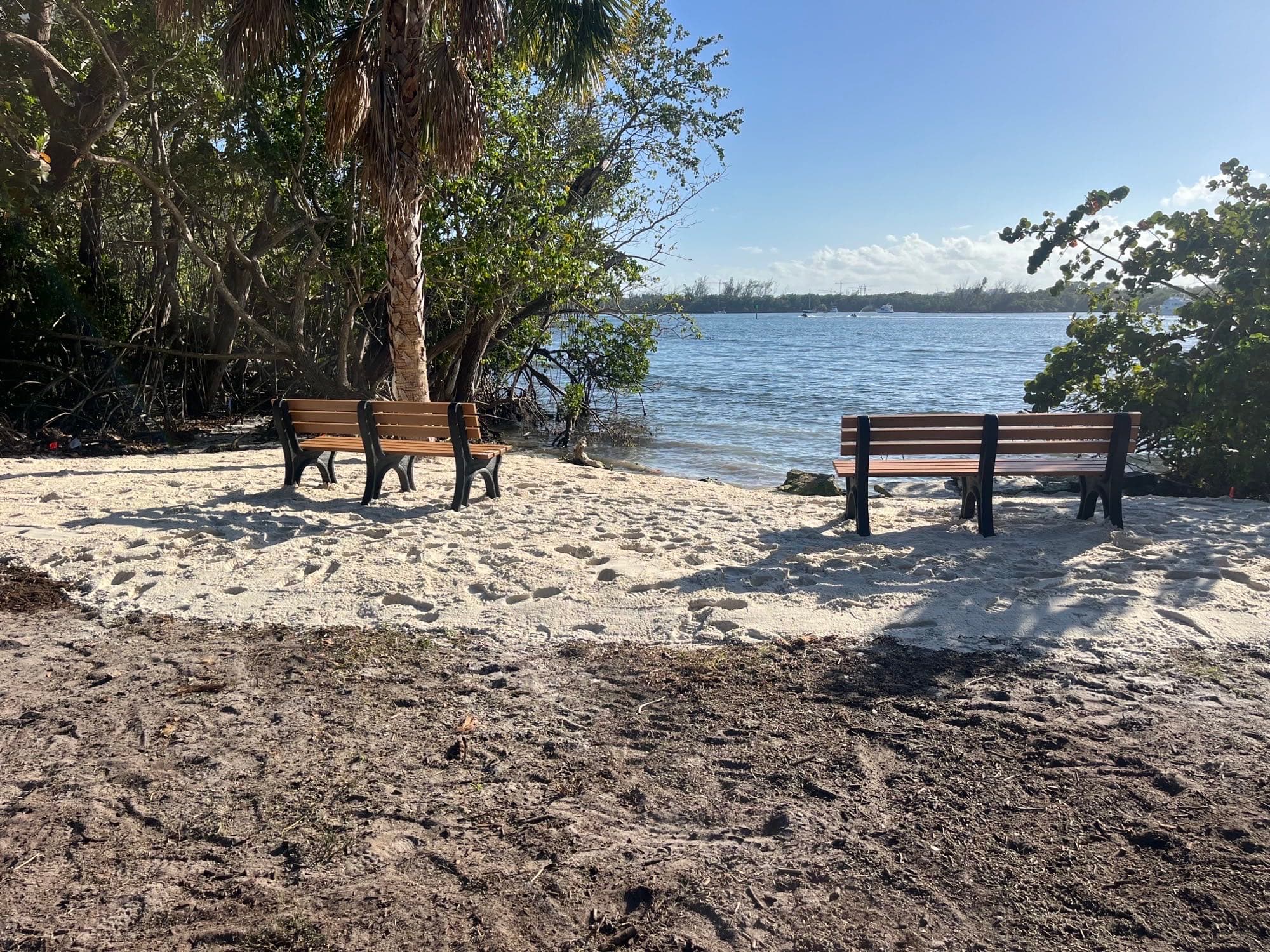 Two wooden park benches on a sandy clearing shaded by a sabal palm and shoreline trees, facing the Intracoastal at Ocean Strand
