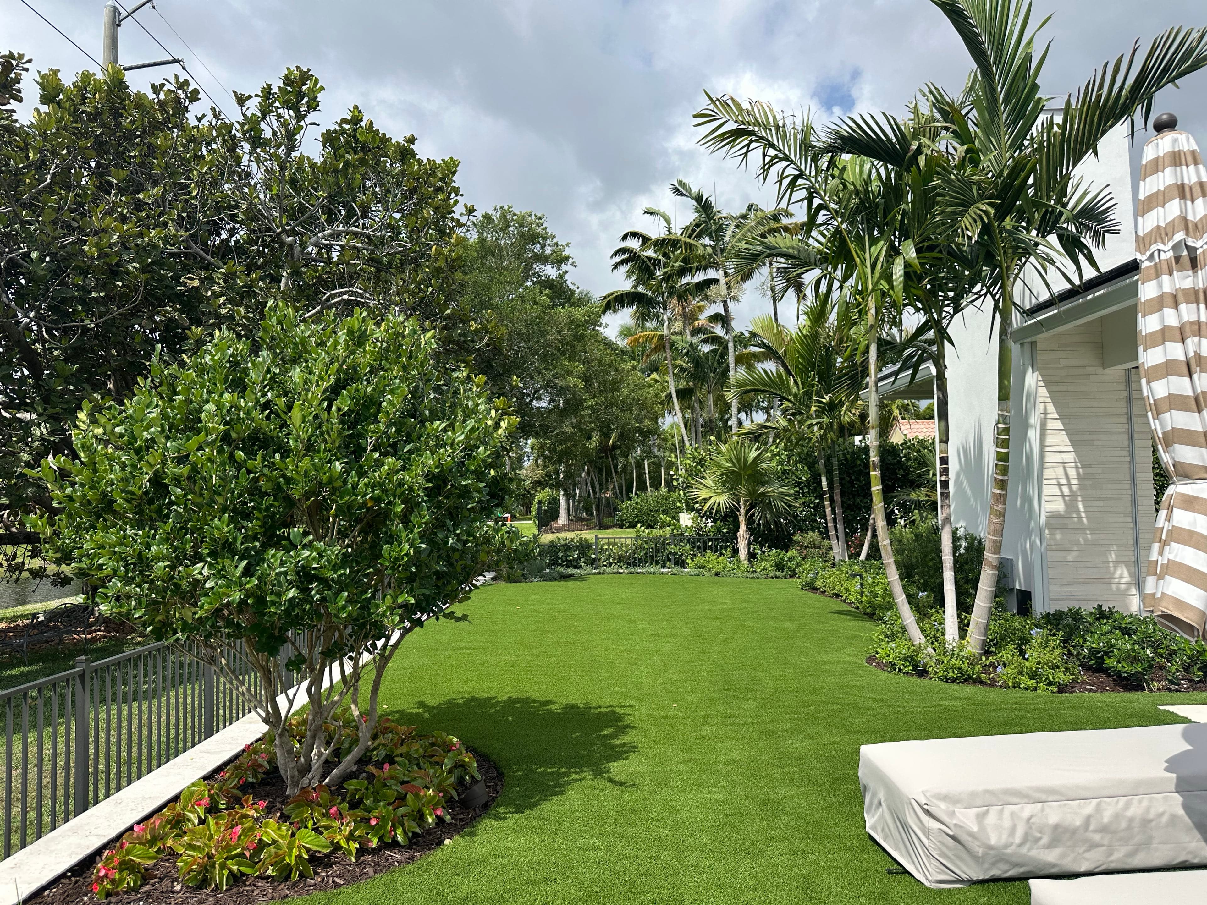 A lawn bordered by a metal picket fence along the waterway, a large clipped hedge, and a cluster of pale ringed palm trunks at the corner of a white house, with a striped umbrella over covered lounge furniture on the patio